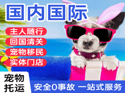 抚远机场物流国际宠物托运 【国